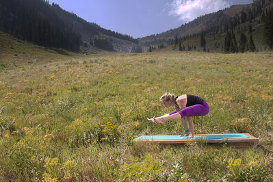 YogaToday Class Preview: Get Light and Sore with the Birds with Mona Godfrey.