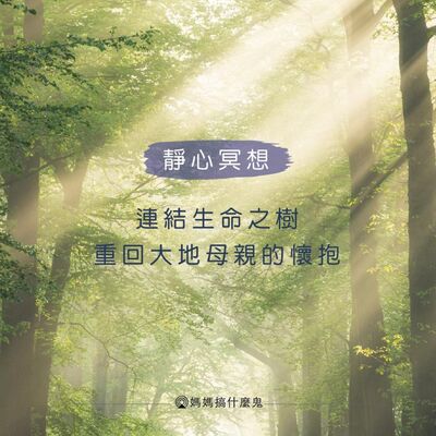 【靜心冥想 #6】連結生命之樹，重回大地母親的懷抱
