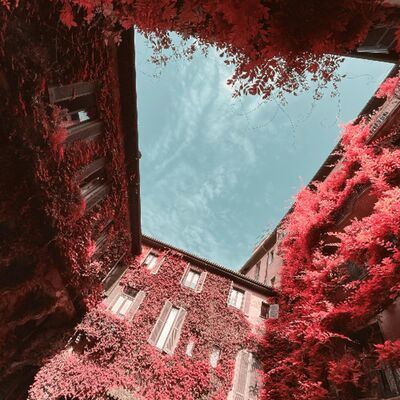 Do Elections Define Democracy? with Natasha Piano