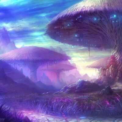 Il Potere degli Psichedelici - La mia Esperienza con i Tartufi Allucinogeni