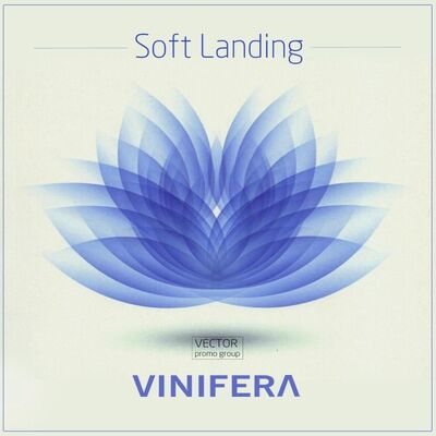 Vinifera – Soft Landing #80