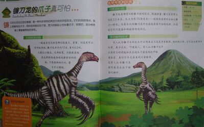 植食恐龙_25镰刀龙的爪子真可怕