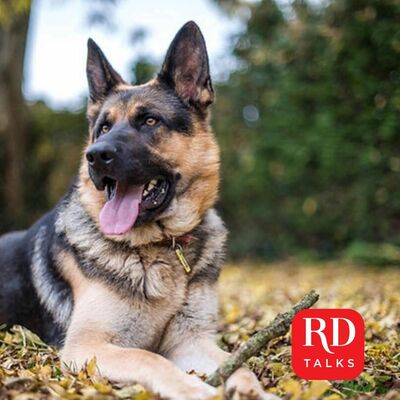 MY STORY Drum Roll of Honour