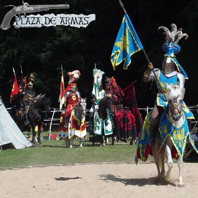 19. Caballería y Guerra Medieval (Fin de Temporada)
