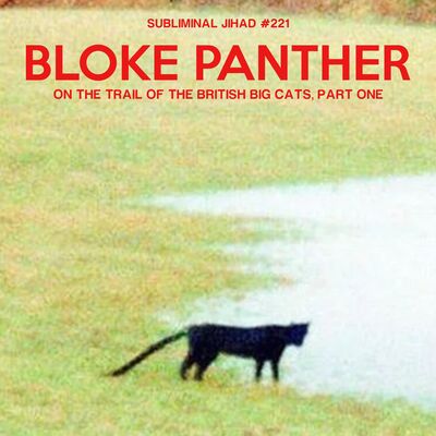 [#221] BLOKE PANTHER: On The Trail of the British Big Cats, Part One