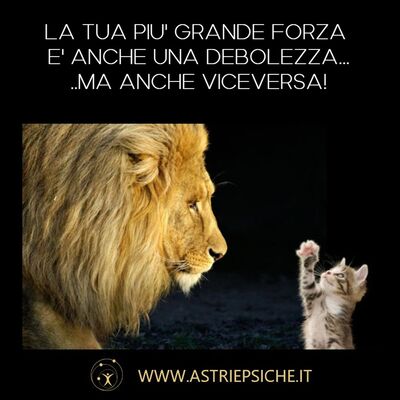 Oroscopo per tuti i segni della Luna nuova in Ariete: 24 Marzo-7 Aprile