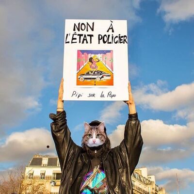 Costellazoni#004bis: un altro dispaccio francese