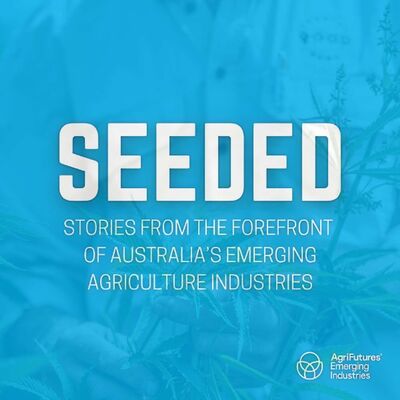 SEEDED: Hemp