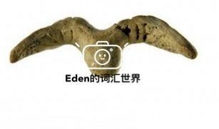 第140期：让女人面红耳赤的法瑟勒斯