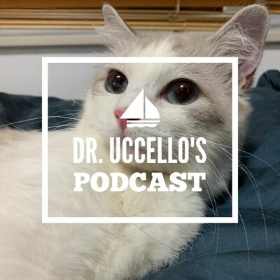 精神醫學三分鐘 —— 少了「S」卻功能多多的NDRI