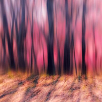 EP106丨简单易学的「测字断事」小技巧