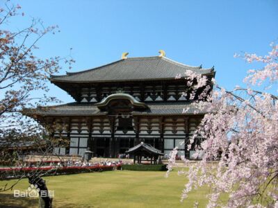 日本奈良.东大寺 1 概览new