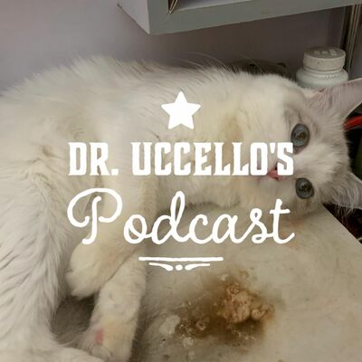 精神醫學三分鐘 —— 使用哪種藥物才理想？抑鬱症患者的失眠處理！