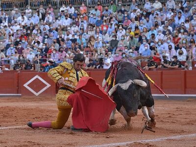 Onda Ruedo 4x01: El verano histórico de Morante de la Puebla y el resurgir de los toreros artistas