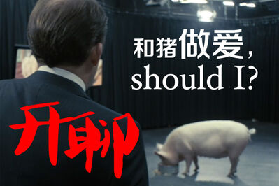 【开聊】和猪做爱，should I?
