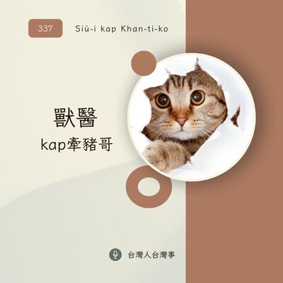 337 獸醫kap牽豬哥