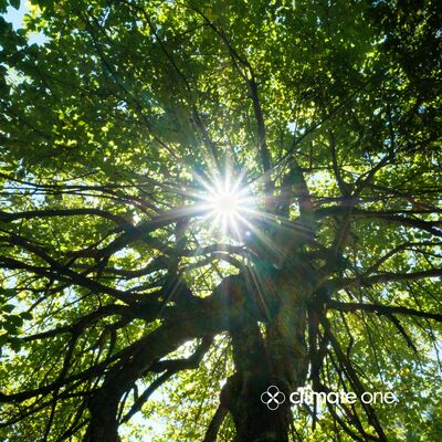 Three Big Thinkers With No Room for Doom