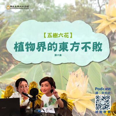 植物界的東方不敗