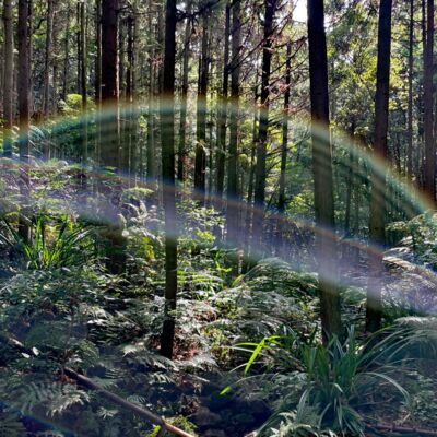 挣录番外-还乐夏呢，都秋天了！