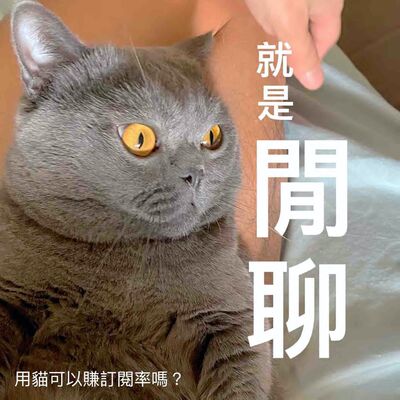 就是閒聊，聽聽巴老師的聲音也好