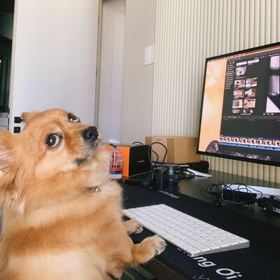 #19 - người lớn quá tải mạng xã hội