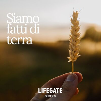 Siamo fatti di terra
