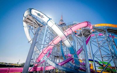 Slides!