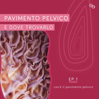 Cos'è, Dov'è e Perchè ci deve interessare il Pavimento Pelvico?