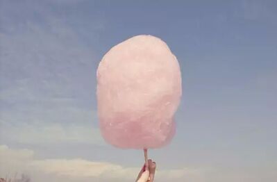 馅饼里包了一块天