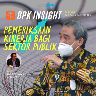 Pemeriksaan Kinerja bagi Sektor Publik