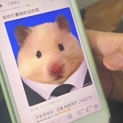 Vol.67 思念是一种会遗忘的东西