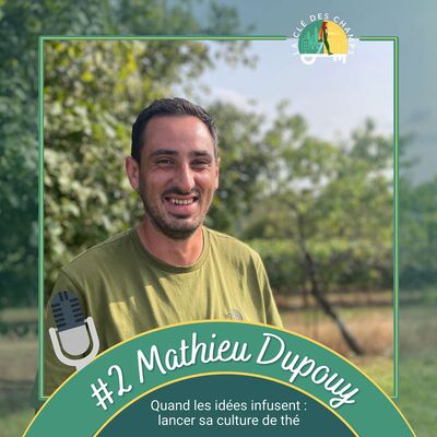 Mathieu Dupouy - Quand les idées infusent : lancer sa culture de thé
