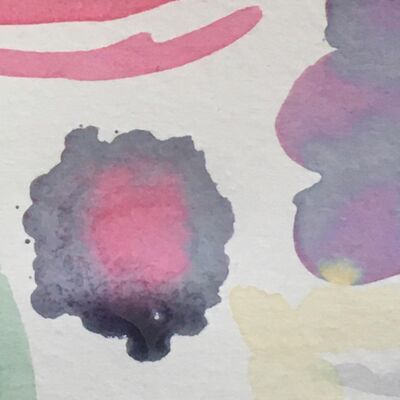 Buurtkruid 8. Magnolia 🌷 ‘ik heb een vaste afspraak met de magnolia in de buurt’ 