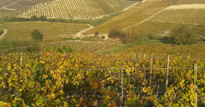 Langhe, sui sentieri di Beppe Fenoglio