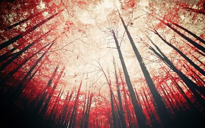 德怨两忘 恩仇俱泯