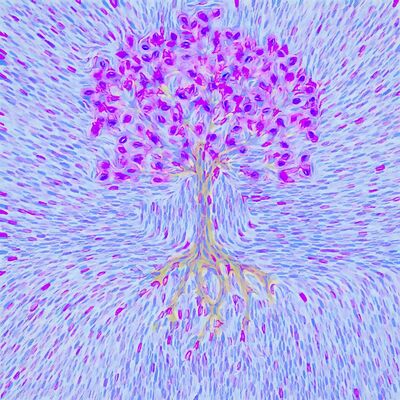 生育损伤，房间里的大象