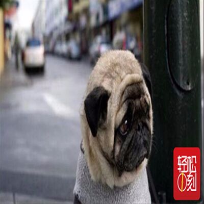 又到毕业失业分手季（粤语版）