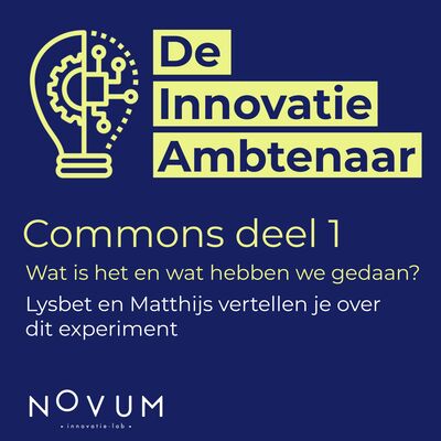 Commons, wat is het en waarom hebben we hier een experiment mee gedaan? 