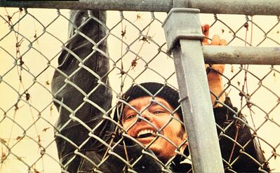 307 我们走，一起去劲爆大象部落！