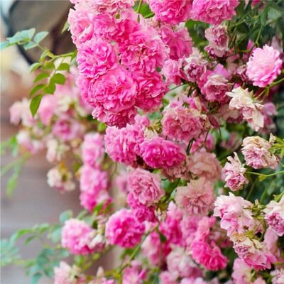 眼里有光看得远，心中有路走得宽