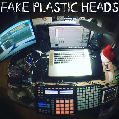 Introduction to Fake Plastic Heads