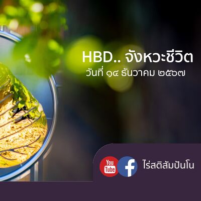 HBD.. จังหวะชีวิต @ไร่สติสัมปันโน - ๑๔ ธันวาคม ๒๕๖๗