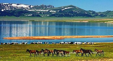 世界奇闻录189 大西洋的最后一滴眼泪