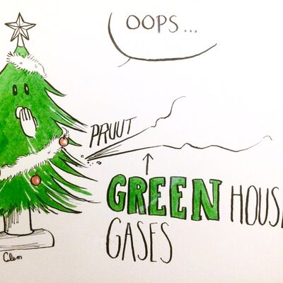 News Point : Africa Floods, COP21, Christmas Trees (9/12/2020)