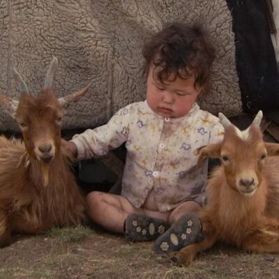 普通人如何“教育”一个孩子