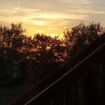 Ep 29 - Sam Soda Uninterrupted