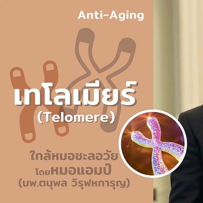 เทโลเมียร์ Telomere อายุจริง คุณอายุเท่าไหร่? By หมอแอมป์