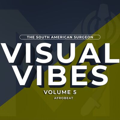 Visual Vibes Volume 5 (AfroBeats)