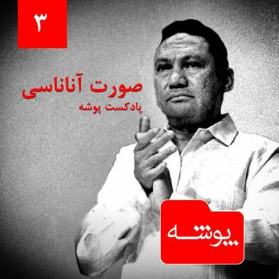 پوشه 3: صورت آناناسی