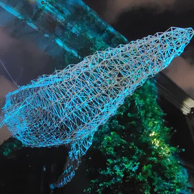 EP.27 世界兒歌不只是兒歌